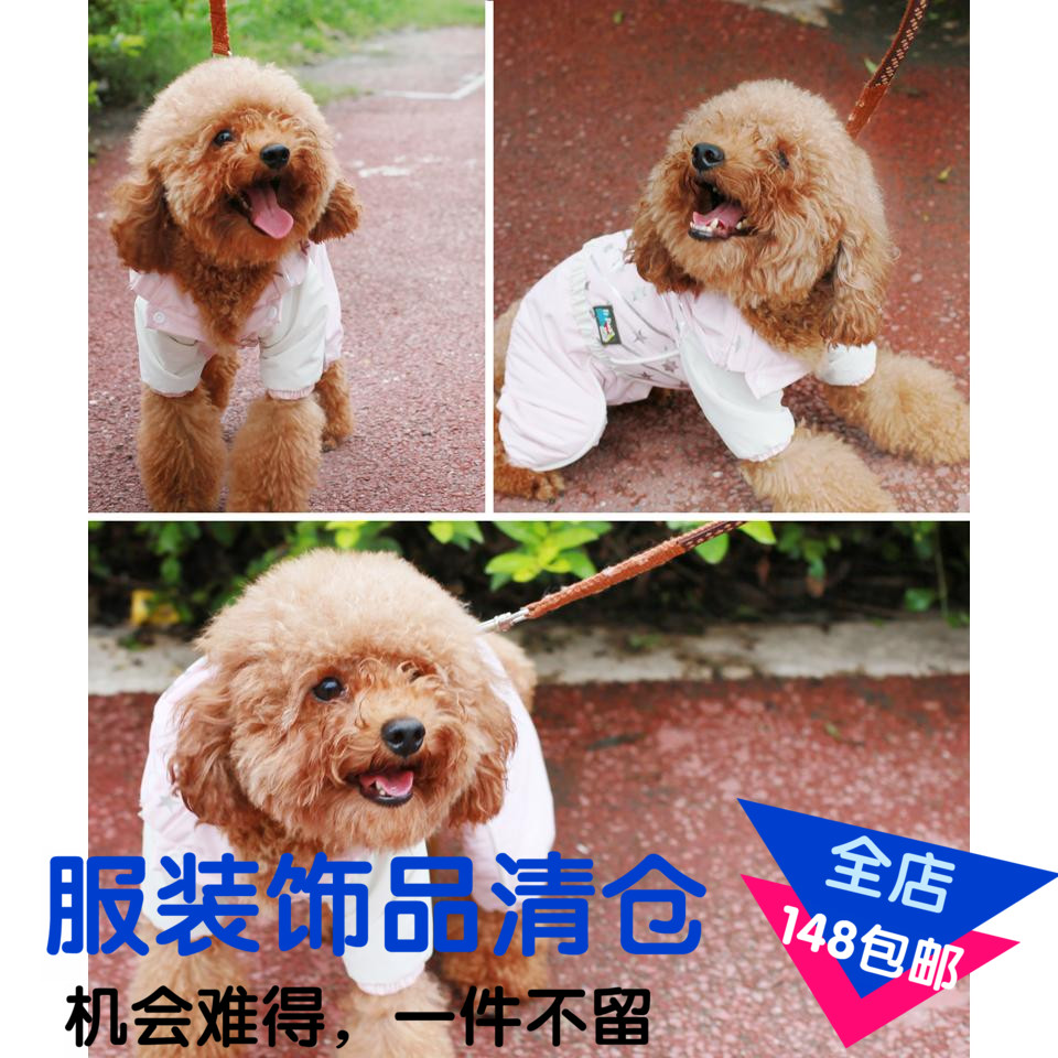 户外雨衣宠物服饰