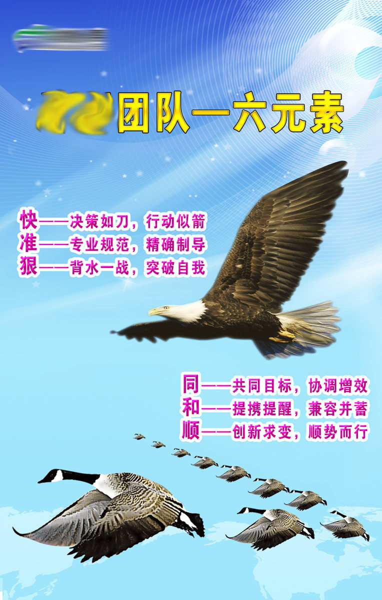 361海报印制256鹰雁团队六元素 人寿公司psd