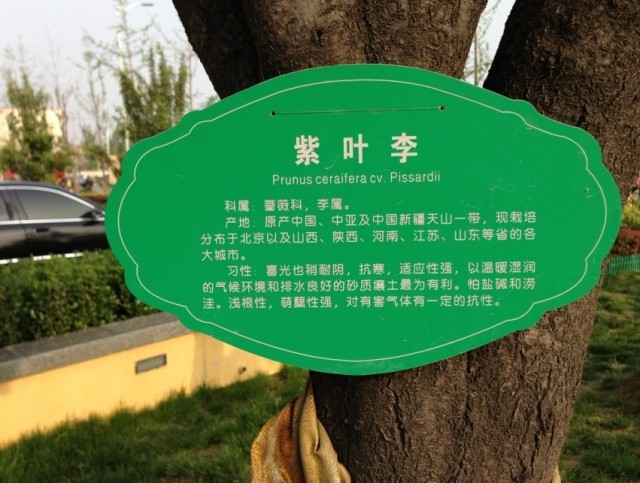 特价铝塑板草木户外挂树提示牌