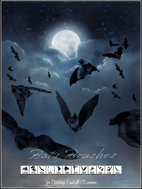 PS笔刷画笔笔触  飞行的蝙蝠造型PS笔刷素材
