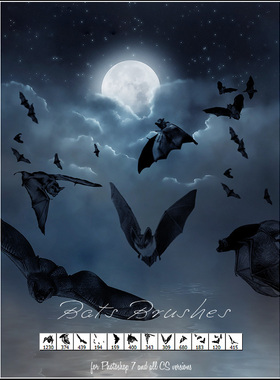 PS笔刷画笔笔触  飞行的蝙蝠造型PS笔刷素材