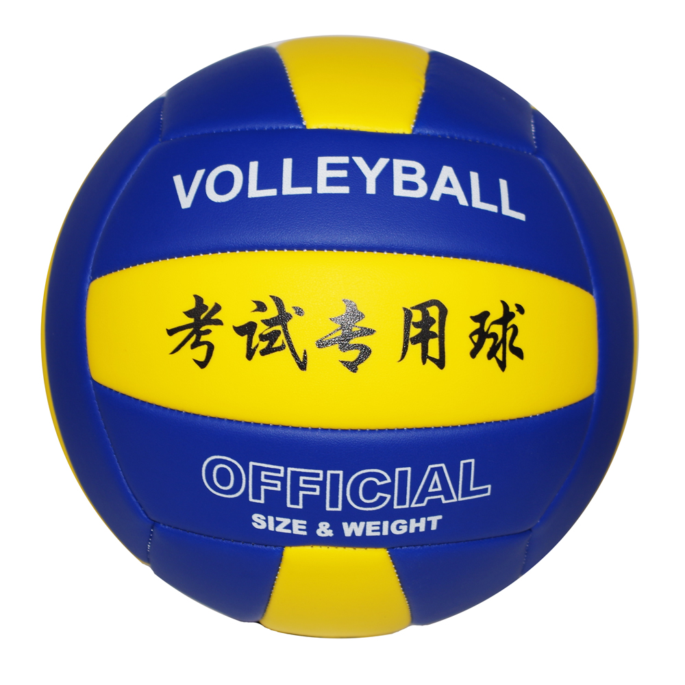Ballon de volley - Ref 2011441 Image 1