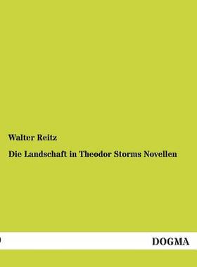 【预售】Die Landschaft in Theodor Storms Novellen