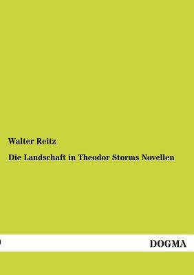 【预售】Die Landschaft in Theodor Storms Novellen