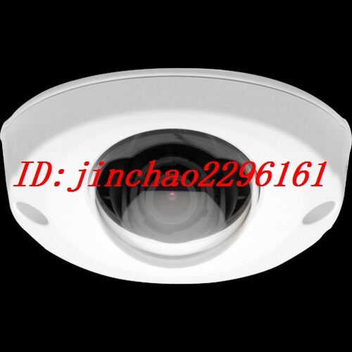 半球摄像机P3904-RAXIS