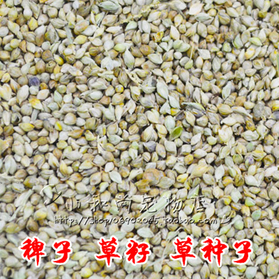 鸟食稗子草籽芙蓉鸟/蛋白质250g