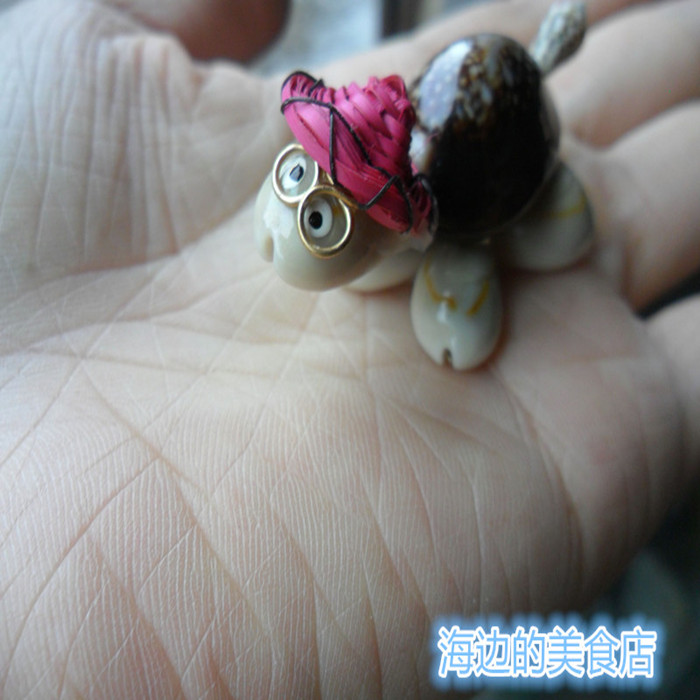 特价包邮贝壳海螺纯天然海螺手工博士龟创意礼品贝壳工艺品批发