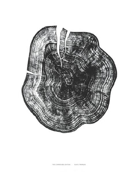 F[现货]瑞典Fine Little Day/年轮海报/BLACK TREERING POSTE