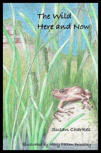 【预售】The Wild Here and Now