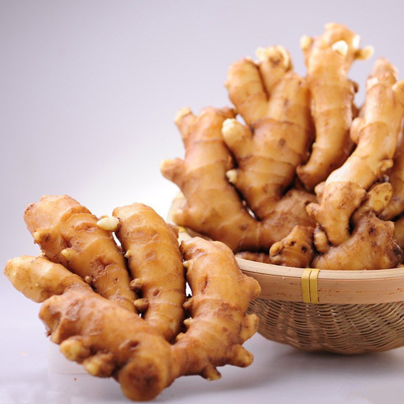 湖南茶陵农家小黄姜 老姜 月子姜 辣姜 200g