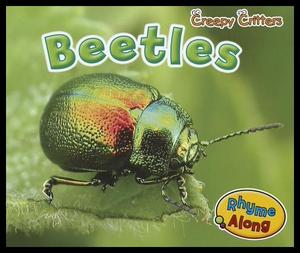 【预售】Beetles...