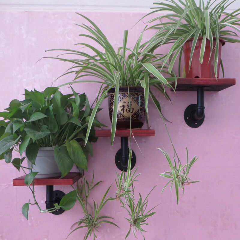 墙上一字隔板置物架挂壁花架书架水管挂墙壁绿萝花架客厅木板架子