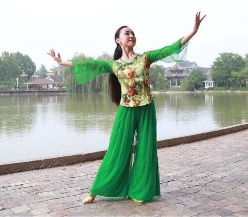 红草莞儿杨艺莲花广场舞套装