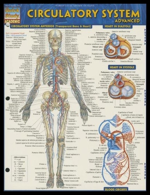 【预售】Circulatory System Advanced