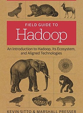 【预订】Field Guide to Hadoop: An Introducti...