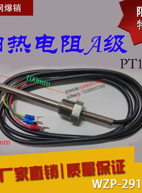 PT100进口热电阻WZP-291温度探头热电阻4分牙温度传感器热电偶