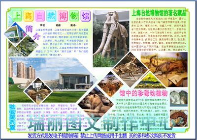 上海自然博物馆彩色电子小报成品旅游介绍简报游览海报模板1005