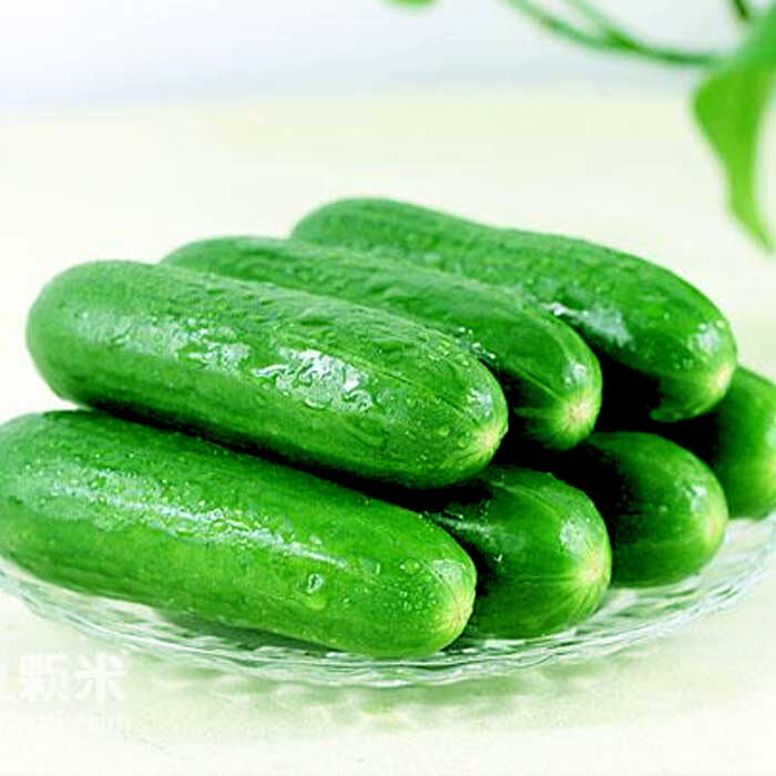 水果青瓜新鲜沙拉蔬菜满138顺丰包邮凉拌西餐厅配送麦果苏