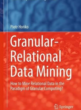【预订】Granular-Relational Data Mining