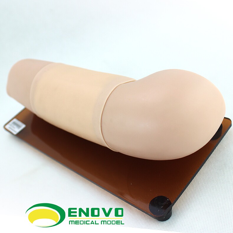 enovo正品皮下埋入避孕练习手臂模型女性计生操作模型妇产科教学