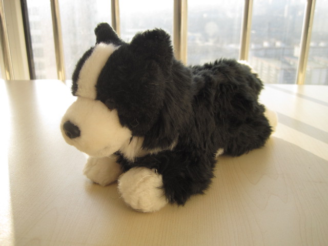 （现货+包邮）仿真卧姿边境牧羊犬狗狗border collie毛绒玩具公仔