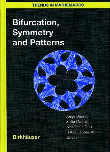 【预售】Bifurcation, Symmetry and Patterns