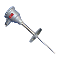 WREK2-440 双支 防爆铠装热电偶 E型 隔爆 本安热电偶 dIIBT4