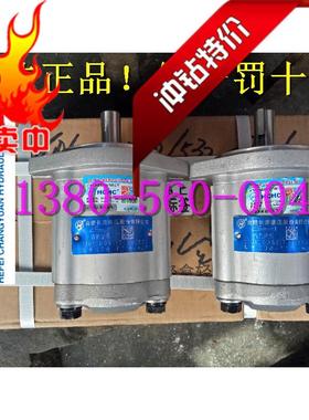 合肥长源液压  齿轮油泵 CBWS-E306-CFBS 液压泵 双向油泵 马达