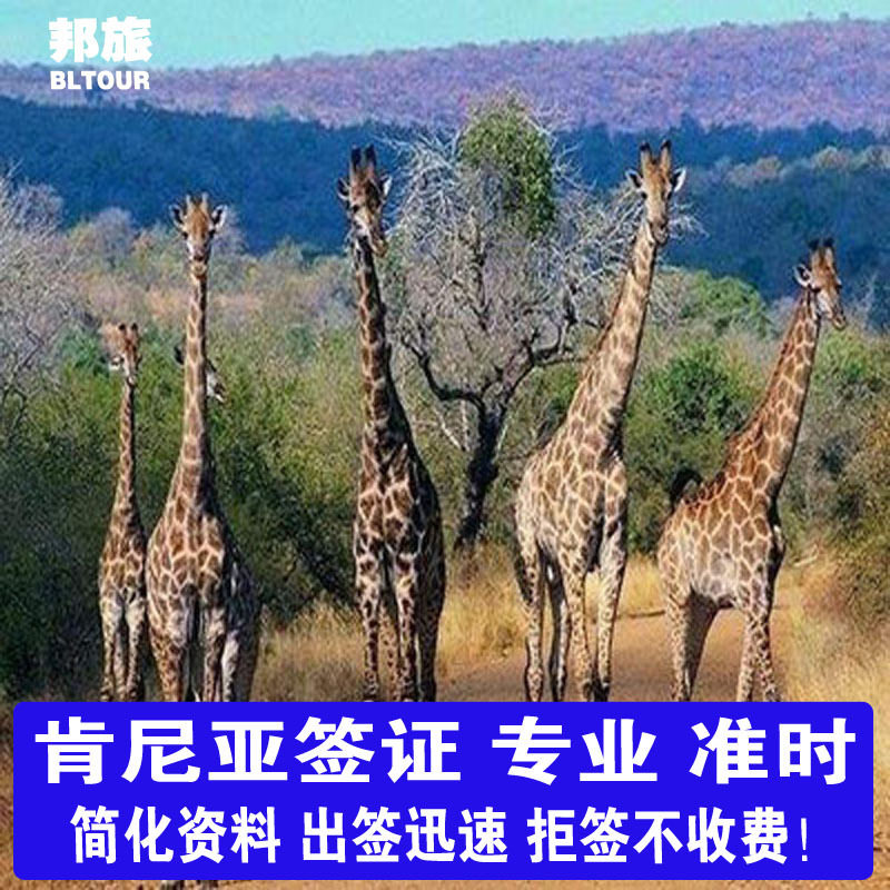 肯尼亚旅游签证 肯尼亚商务签电子签   肯尼亚签证 肯尼亚落地电子签