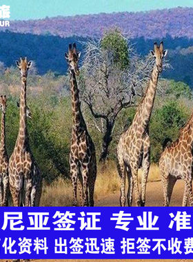 肯尼亚旅游签证 肯尼亚商务签电子签   肯尼亚签证 肯尼亚落地电子签  肯尼亚商务签证 肯尼亚个人旅游签 签