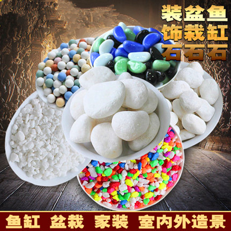 白石子白色石头雨花石陶粒多肉铺面盆栽鱼缸装饰五彩石鹅卵石石子在类目 鲜花速递/花卉仿真/绿植园艺, 园艺用品, 其它园艺用品中 - 来自Buy2taobao.com提供专业的淘宝代购服务
