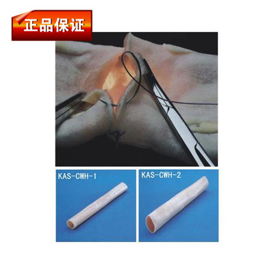 厂家直销肠管吻合模型缝合训练专用医学用实习模具30cm