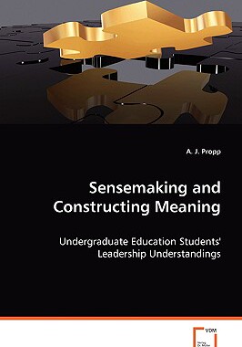 【预售】Sensemaking and Construction Meaning