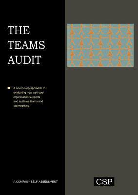 【预售】The Teams Audit