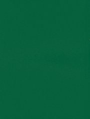 【预订】Flora Europaea