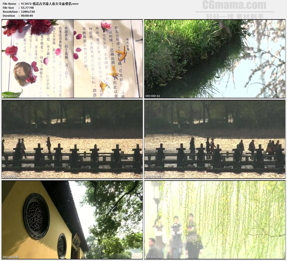 桃花古书游人春天寺庙僧侣高清实拍视频素材