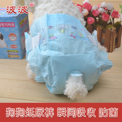宠物小狗狗纸尿裤小型犬金毛幼犬尿不湿贵宾泰迪比熊母狗公狗尿片