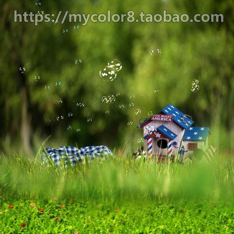 mycolor8 PS 婚纱 影楼摄影背景 百天宝宝迷你小背景 大图 16-27