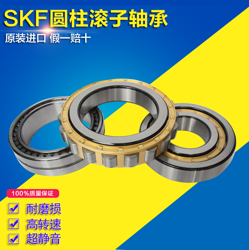 SKF圆柱滚子轴承NU202 NU203 NU204 NU205 NU206 ECP ECJ ECM /C3