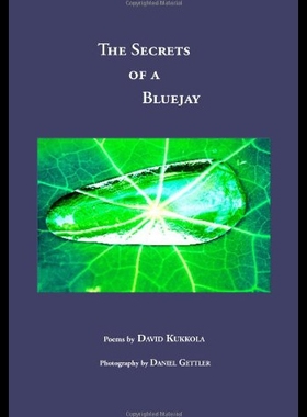 【预售】The Secrets of a Bluejay