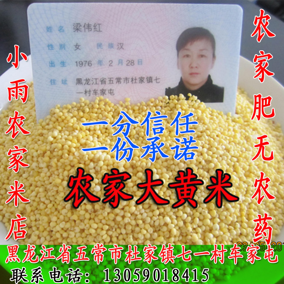 农家自产自销绿色大黄米500g