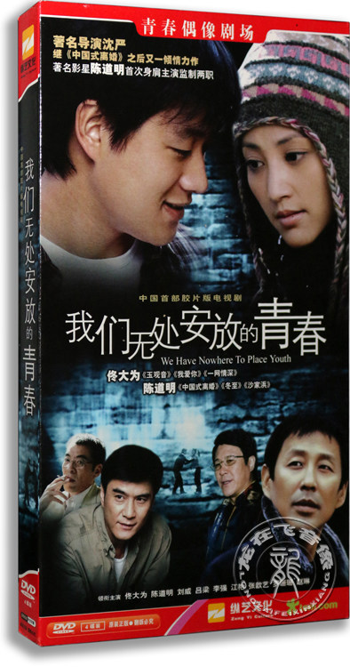 正版电视剧 我们无处安放的青春4DVD经济版盒装碟片佟大为 陈道明