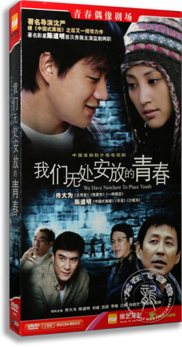 正版电视剧 我们无处安放的青春4DVD经济版盒装碟片佟大为 陈道明