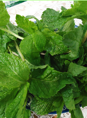 云南新鲜野菜薄荷菜叶原产地直销餐厅农家菜调料销售