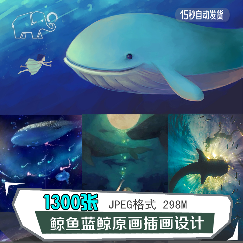 鲸鱼蓝鲸海豚原画设计卡通海洋生物动漫动物参考素材借鉴参考鉴赏