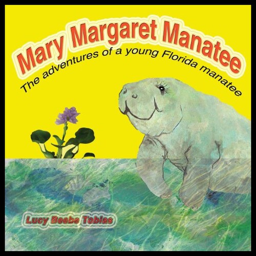 美国库房发货，通常付款后5-8周到货！