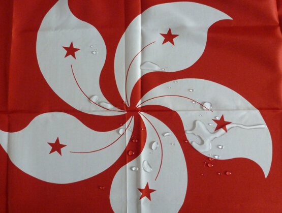 香港区旗 港旗彩旗/刀旗外国旗 1号旗2号旗3号旗4号旗