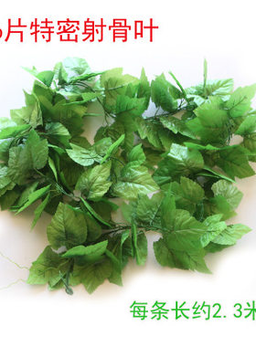 藤蔓植物绿叶塑料爬山虎吊顶装饰