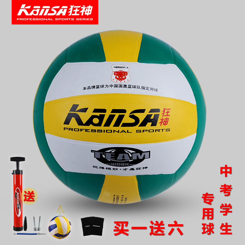 Ballon de volley - Ref 2010317 Image 1