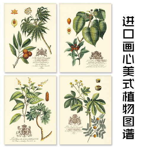 美式风微喷打印植物花卉卡纸画